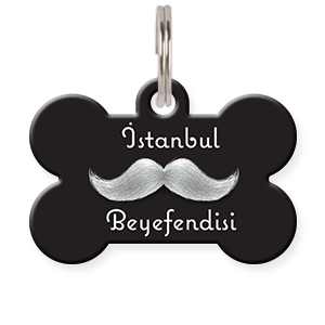 İstanbul Beyefendisi